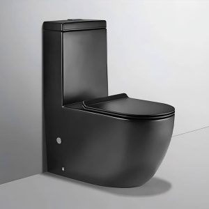 Axis black toilet