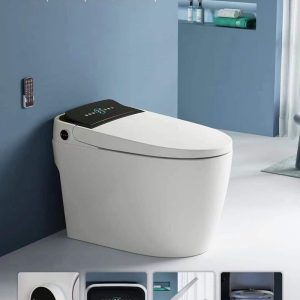 Smart toilet