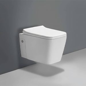 White wall hang Toilet seat only